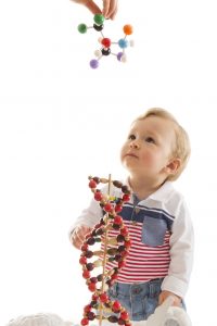 child's brain