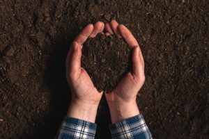 Soil